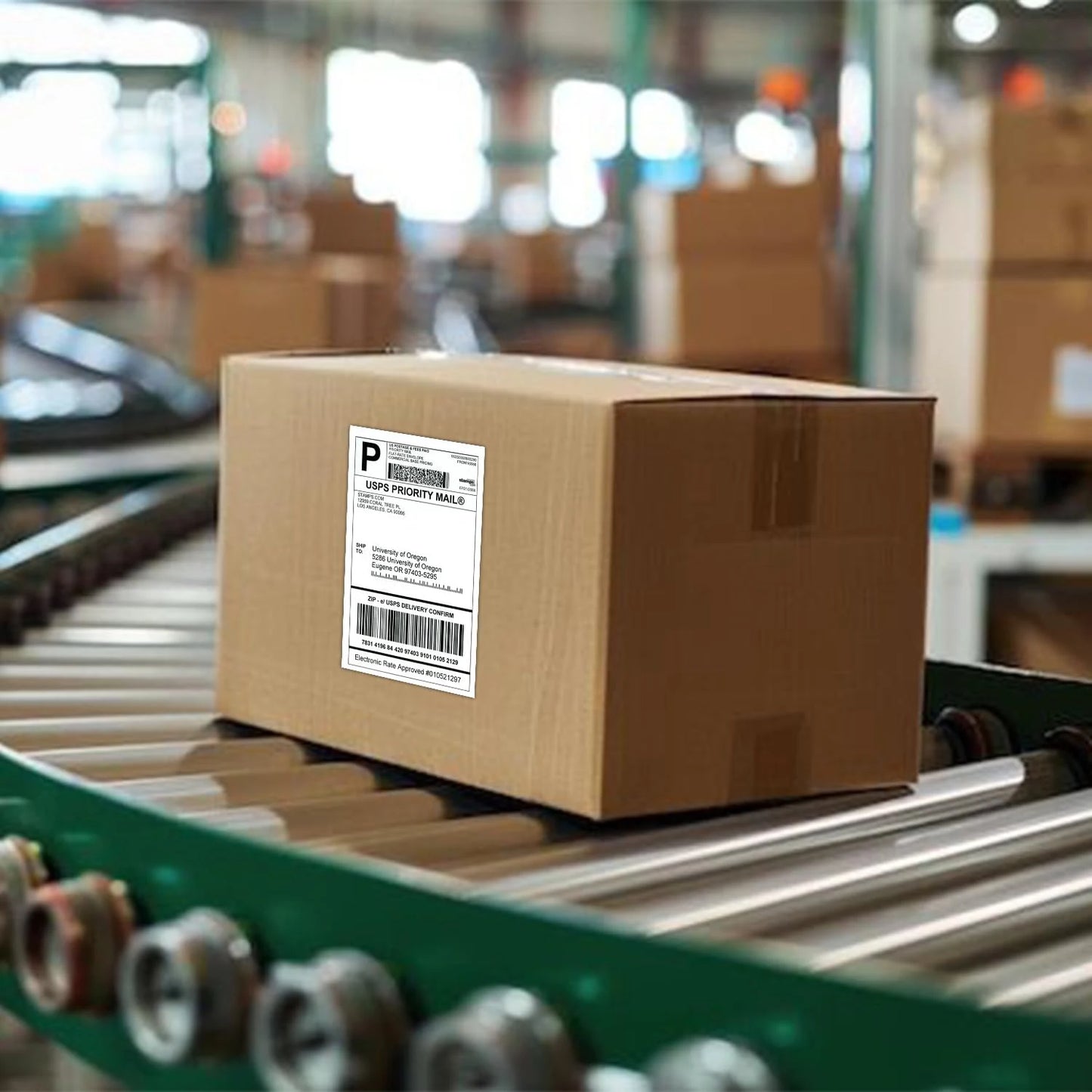 Shipping Label Paper